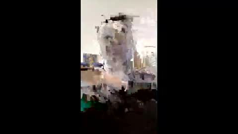 melissaknowles46 online show from 02/01/26, 12:59