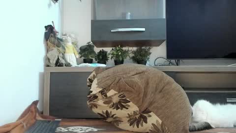 MellyMell  online show from 03/05/25, 11:05