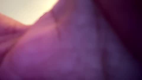 memolesta13 online show from 02/09/25, 02:06