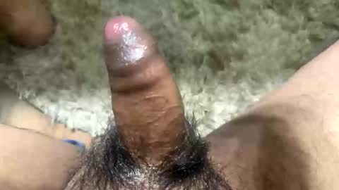 Toro loco online show from 11/13/25, 05:39