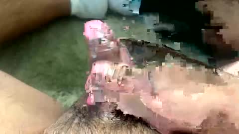 Toro loco online show from 03/26/26, 09:31