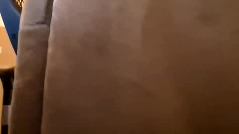 Snapshot of mendosajuan chatting on 01/06/26, 04:32 DutchFun Cock online show from 01/06/26, 04:32