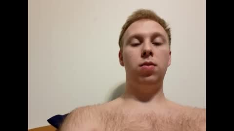 meow732 online show from 10/21/25, 10:43