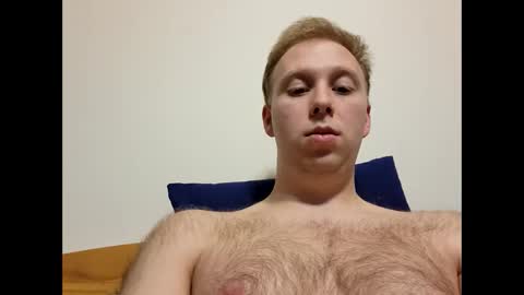 meow732 online show from 10/24/25, 12:19