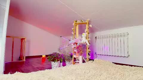 meowroslava online show from 11/14/25, 09:30