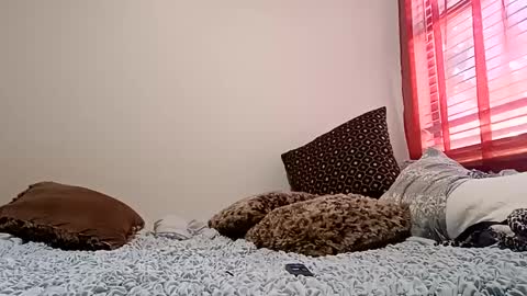 Snapshot of meowzers777 chatting on 12/15/24, 06:48 meowzers777 online show from 12/15/24, 06:48