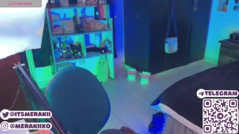Snapshot of meraki_fraise chatting on 06/05/26, 08:25 online show from 06/05/26, 08:25