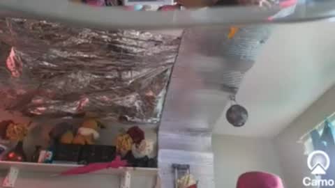 Snapshot of merelyalover chatting on 12/26/24, 09:04 gurlnips online show from 12/26/24, 09:04