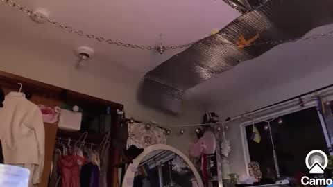 Snapshot of merelyalover chatting on 01/30/25, 02:06 gurlnips online show from 01/30/25, 02:06