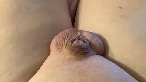 Wade online show from 01/28/25, 07:21