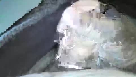 mexianthehawk online show from 09/14/25, 10:09