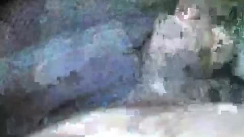 mexianthehawk online show from 09/28/25, 09:09