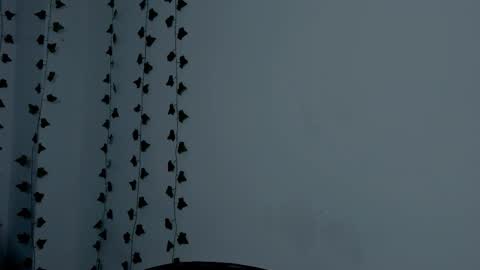 MIA online show from 09/23/25, 09:18