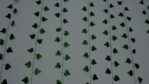 MIA online show from 12/20/25, 09:33