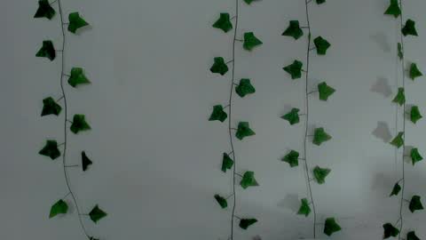 MIA online show from 04/11/26, 10:25