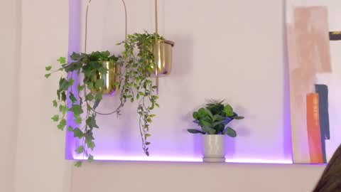 mia_oconner online show from 12/31/24, 02:14