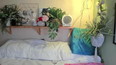 Miaa online show from 12/20/24, 07:12