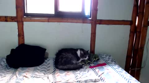 Mia  Sam online show from 11/24/25, 04:18