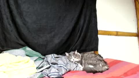Mia  Sam online show from 05/18/26, 04:07