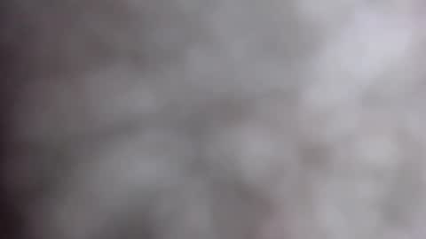 MiahLove31 online show from 10/17/25, 04:59