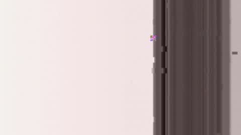 miamifit online show from 03/19/26, 05:11