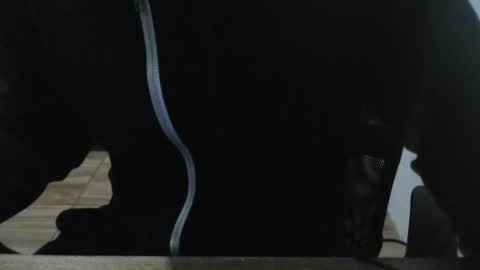 Snapshot of miamorr_ chatting on 02/03/26, 04:43 miamorr_ online show from 02/03/26, 04:43