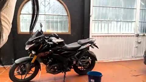 miaoconell online show from 10/13/25, 07:03