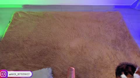         online show from 01/29/25, 10:11