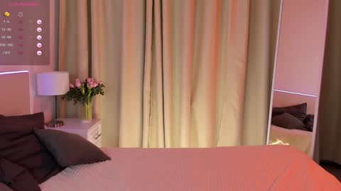 Snapshot of michael_swan chatting on 01/25/25, 09:36 Michel online show from 01/25/25, 09:36