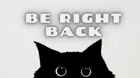 Snapshot of michelleevie chatting on 02/10/26, 10:36 Agatha online show from 02/10/26, 10:36