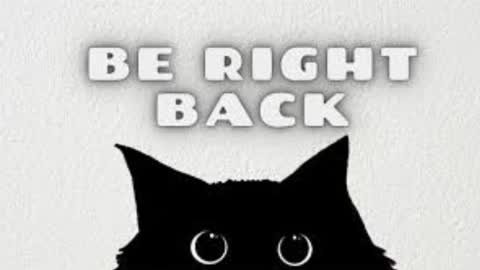 Snapshot of michelleevie chatting on 03/05/26, 09:11 Agatha online show from 03/05/26, 09:11