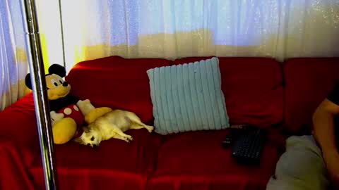 Snapshot of mickeyshyne69 chatting on 02/28/25, 12:43 Mickey online show from 02/28/25, 12:43