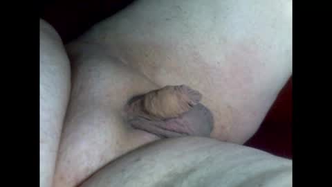 micropimmel online show from 02/09/26, 07:51