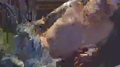 middle123456783939 online show from 09/11/25, 06:52