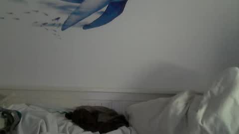 kike online show from 01/31/25, 04:59