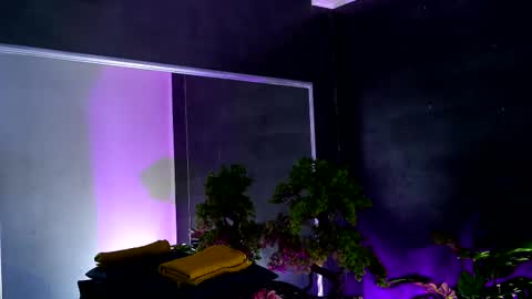 Alice online show from 02/13/25, 08:38