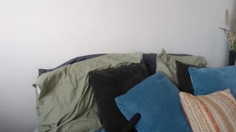 MidsummerNightsDream online show from 01/05/26, 05:27