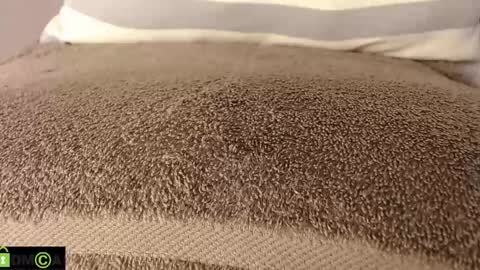 Mikell Williams online show from 03/11/25, 08:53