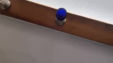 miky17cm online show from 01/12/26, 12:27