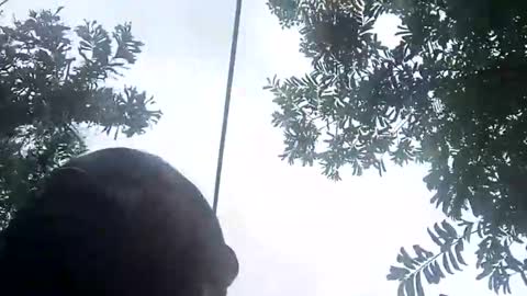 miky17cm online show from 01/12/26, 07:41