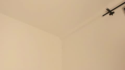     online show from 02/14/25, 07:28