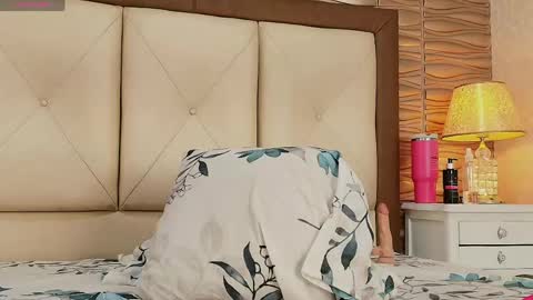 Snapshot of miladiosa chatting on 05/02/26, 01:38 miladiosa online show from 05/02/26, 01:38