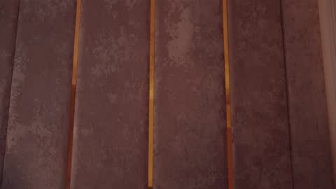        online show from 03/20/26, 06:13