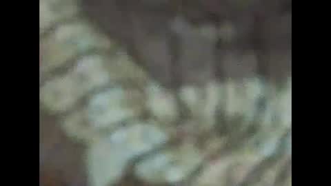 milfpussyeatdeep online show from 12/31/24, 09:06