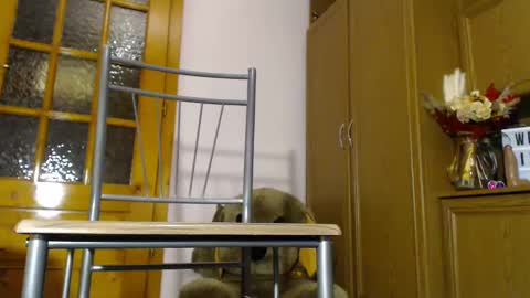 Snapshot of milk_and_hon3y chatting on 12/04/24, 06:11 Im to see you here Pvts are open I love patterns soo much online show from 12/04/24, 06:11