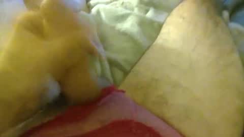 Snapshot of milkncookies8 chatting on 10/03/25, 05:59 milkncookies8 online show from 10/03/25, 05:59