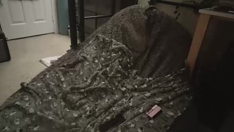 Snapshot of milky479 chatting on 03/09/26, 08:40 milky479 online show from 03/09/26, 08:40