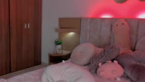 Snapshot of millarousse1 chatting on 12/06/24, 05:53 erika rf99 online show from 12/06/24, 05:53