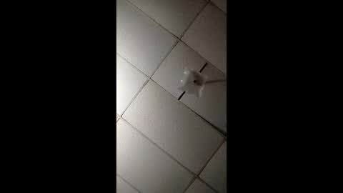 miloanj online show from 11/07/25, 04:45