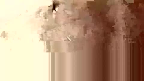 minniehunney online show from 04/23/26, 08:24